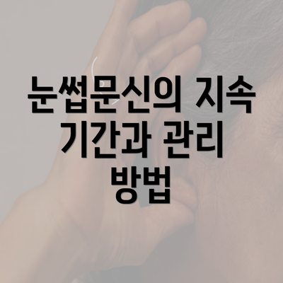 눈썹문신의 지속 기간과 관리 방법