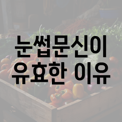 눈썹문신이 유효한 이유