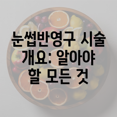 눈썹반영구 시술 개요: 알아야 할 모든 것