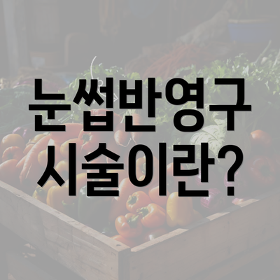 눈썹반영구 시술이란?