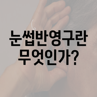 눈썹반영구란 무엇인가?