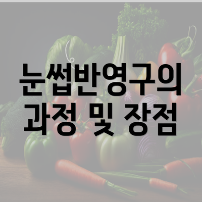 눈썹반영구의 과정 및 장점