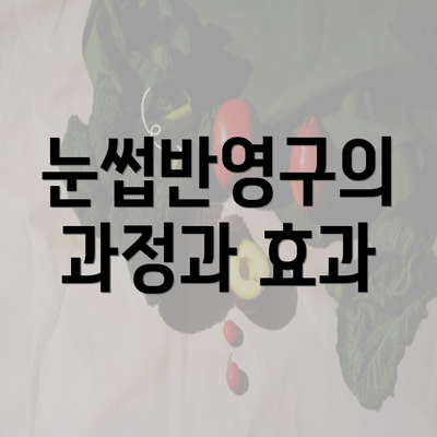 눈썹반영구의 과정과 효과