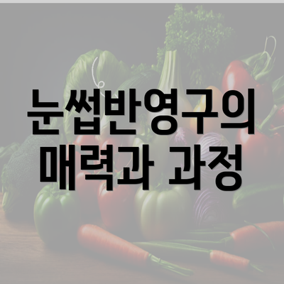 눈썹반영구의 매력과 과정