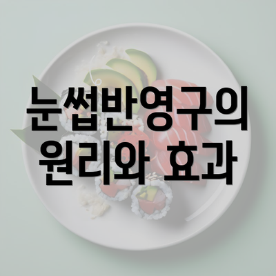 눈썹반영구의 원리와 효과