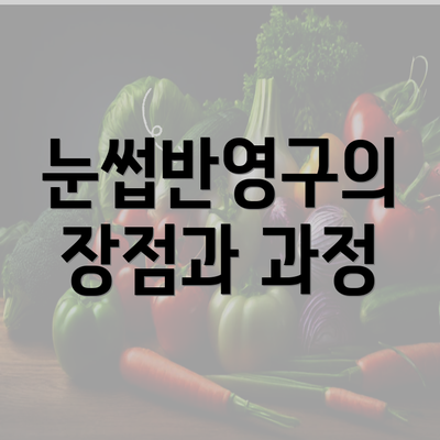 눈썹반영구의 장점과 과정