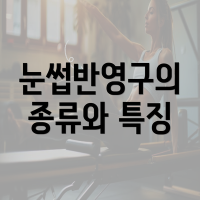 눈썹반영구의 종류와 특징