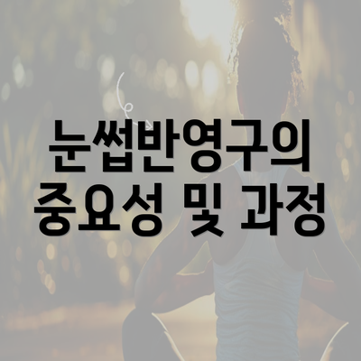 눈썹반영구의 중요성 및 과정