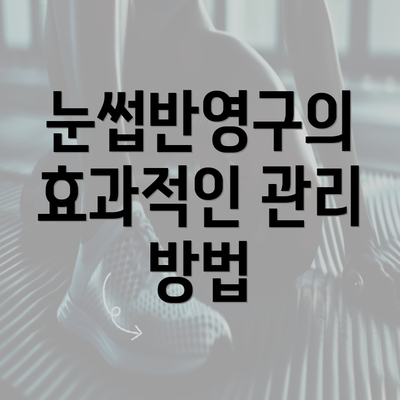 눈썹반영구의 효과적인 관리 방법