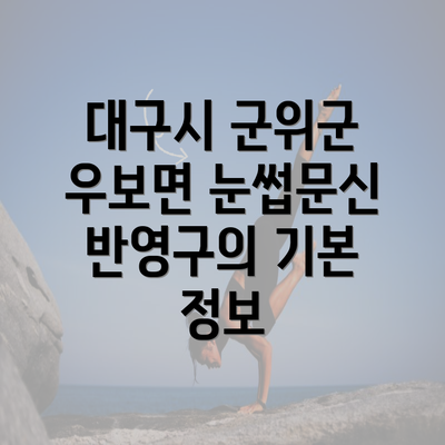 대구시 군위군 우보면 눈썹문신 반영구의 기본 정보