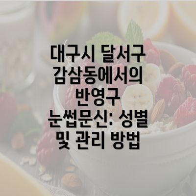 대구시 달서구 감삼동에서의 반영구 눈썹문신: 성별 및 관리 방법