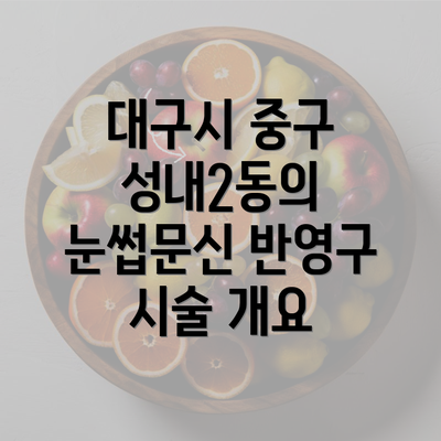 대구시 중구 성내2동의 눈썹문신 반영구 시술 개요