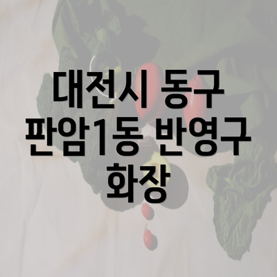 대전시 동구 판암1동 반영구 화장