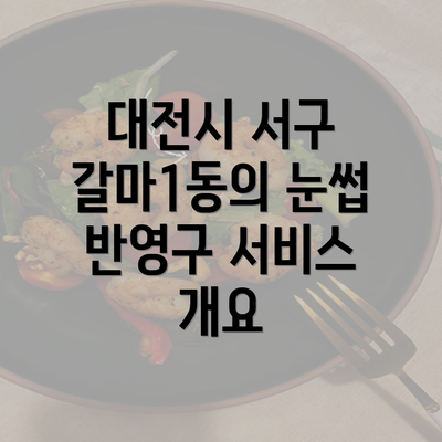 대전시 서구 갈마1동의 눈썹 반영구 서비스 개요