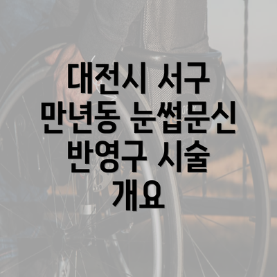 대전시 서구 만년동 눈썹문신 반영구 시술 개요