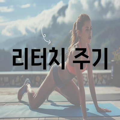 리터치 주기