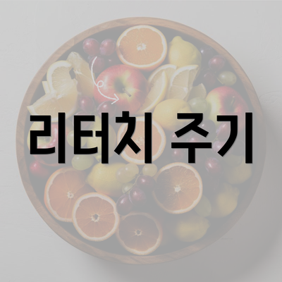 리터치 주기