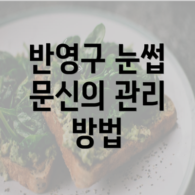 반영구 눈썹 문신의 관리 방법