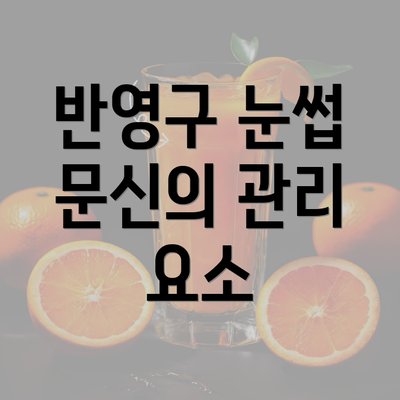 반영구 눈썹 문신의 관리 요소