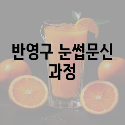 반영구 눈썹문신 과정