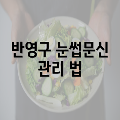 반영구 눈썹문신 관리 법