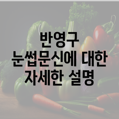 반영구 눈썹문신에 대한 자세한 설명