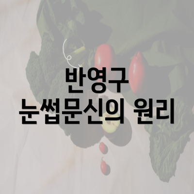 반영구 눈썹문신의 원리