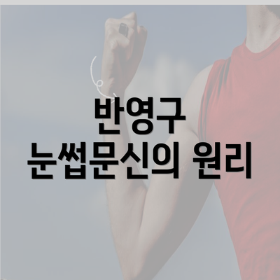 반영구 눈썹문신의 원리