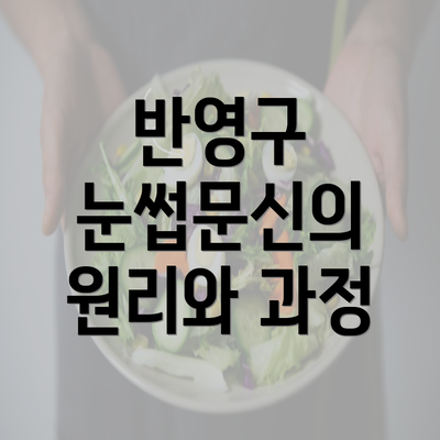 반영구 눈썹문신의 원리와 과정