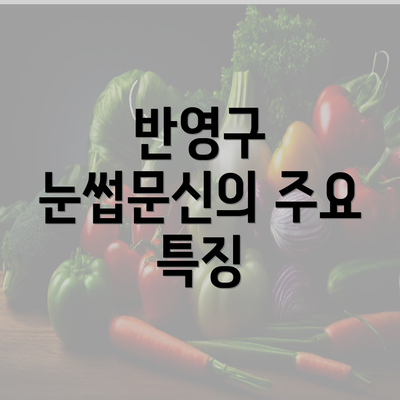 반영구 눈썹문신의 주요 특징