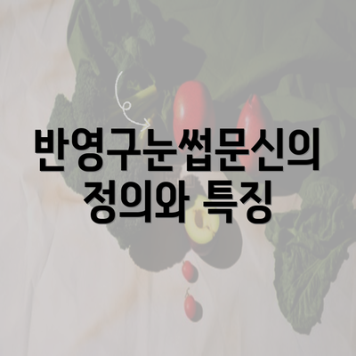 반영구눈썹문신의 정의와 특징