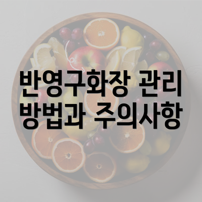 반영구화장 관리 방법과 주의사항