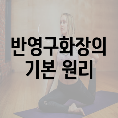 반영구화장의 기본 원리