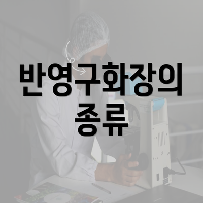 반영구화장의 종류