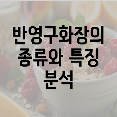 반영구화장의 종류와 특징 분석