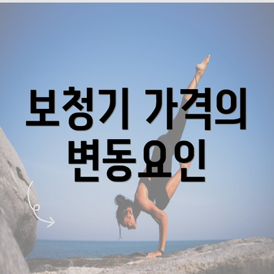 보청기 가격의 변동요인