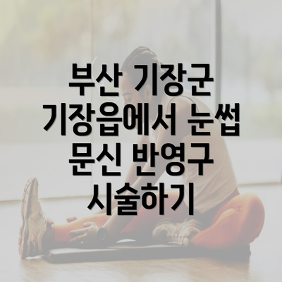 부산 기장군 기장읍에서 눈썹 문신 반영구 시술하기