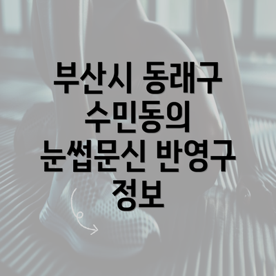 부산시 동래구 수민동의 눈썹문신 반영구 정보