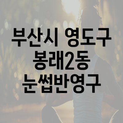 부산시 영도구 봉래2동 눈썹반영구