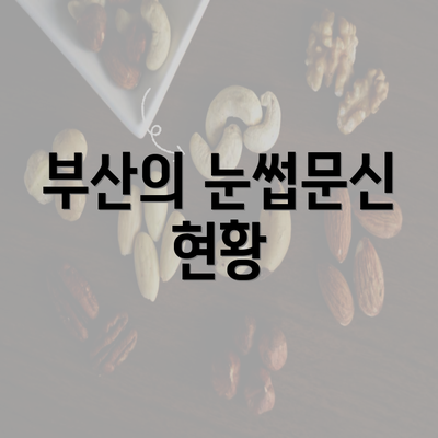 부산의 눈썹문신 현황