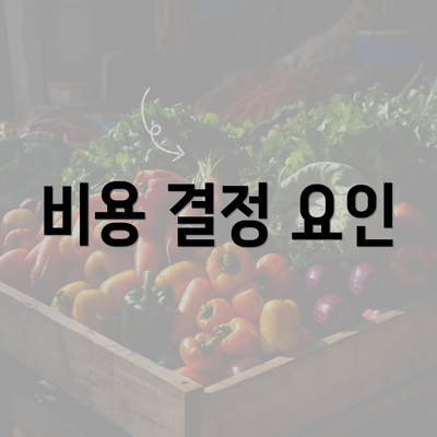 비용 결정 요인