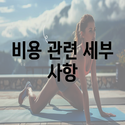 비용 관련 세부 사항