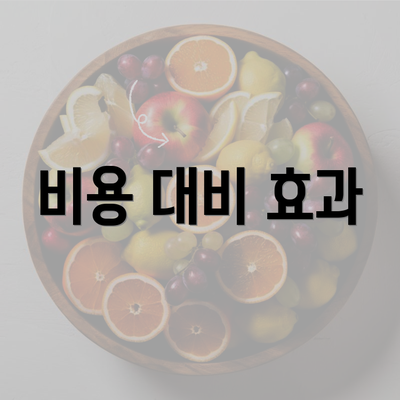 비용 대비 효과