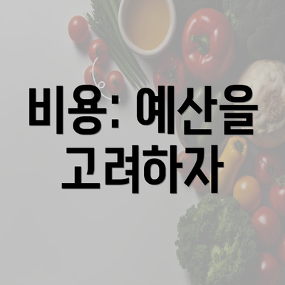 비용: 예산을 고려하자