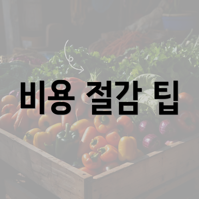 비용 절감 팁