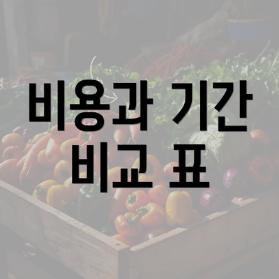 비용과 기간 비교 표