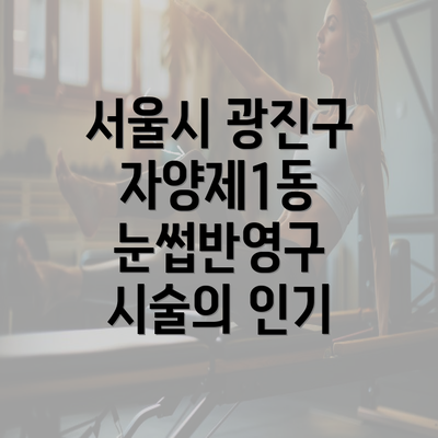 서울시 광진구 자양제1동 눈썹반영구 시술의 인기