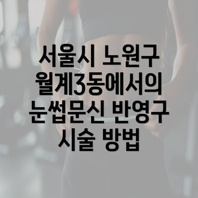 서울시 노원구 월계3동에서의 눈썹문신 반영구 시술 방법