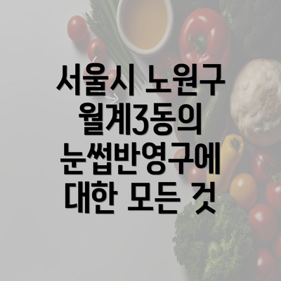 서울시 노원구 월계3동의 눈썹반영구에 대한 모든 것