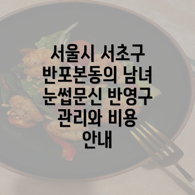 서울시 서초구 반포본동의 남녀 눈썹문신 반영구 관리와 비용 안내